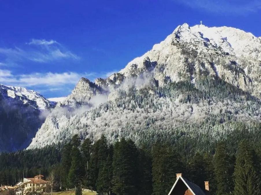 Vila Bianca Buşteni Dış mekan fotoğraf