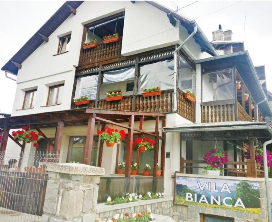 Vila Bianca Buşteni Dış mekan fotoğraf
